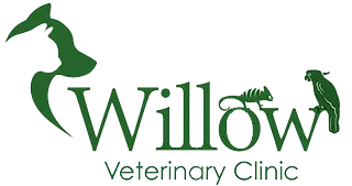 willow-logo-header